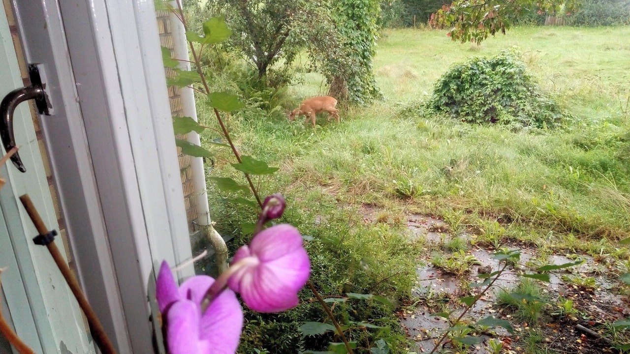 Photo of Outdoor in Ambjorby
