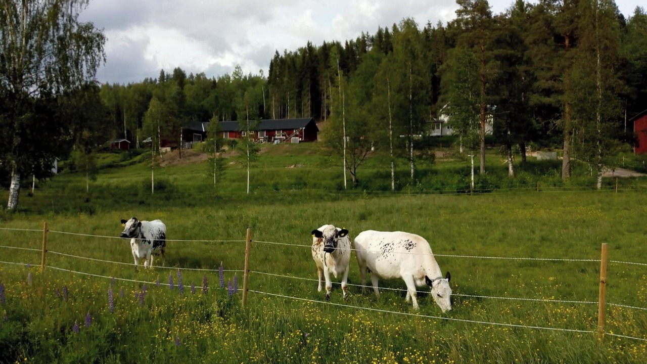 Photo of Others in Ambjorby