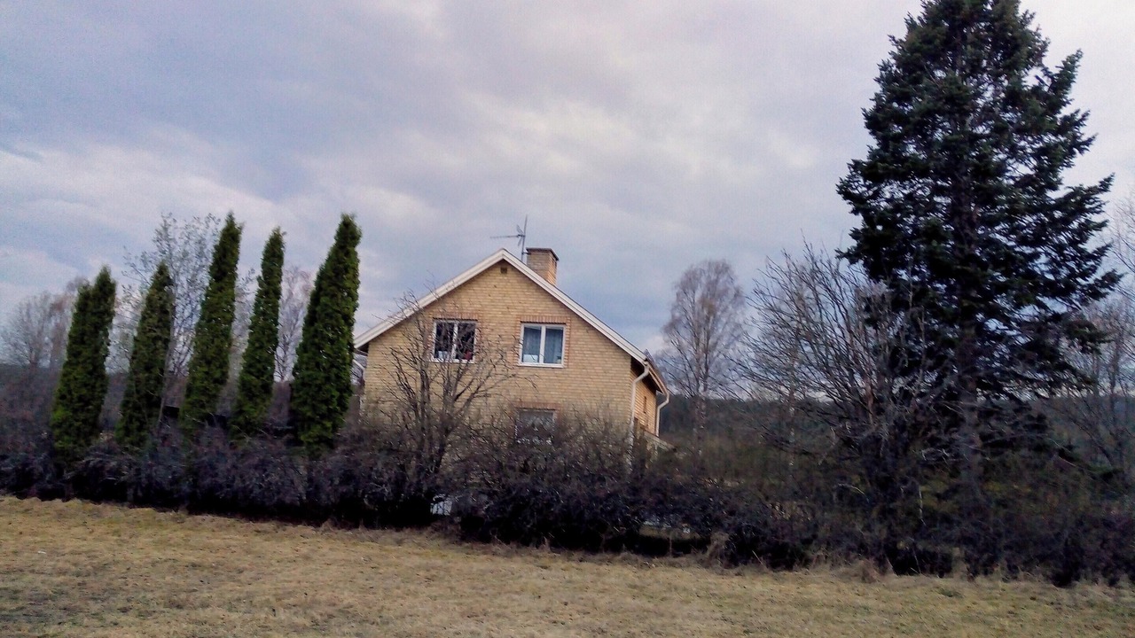 Photo of Others in Ambjorby