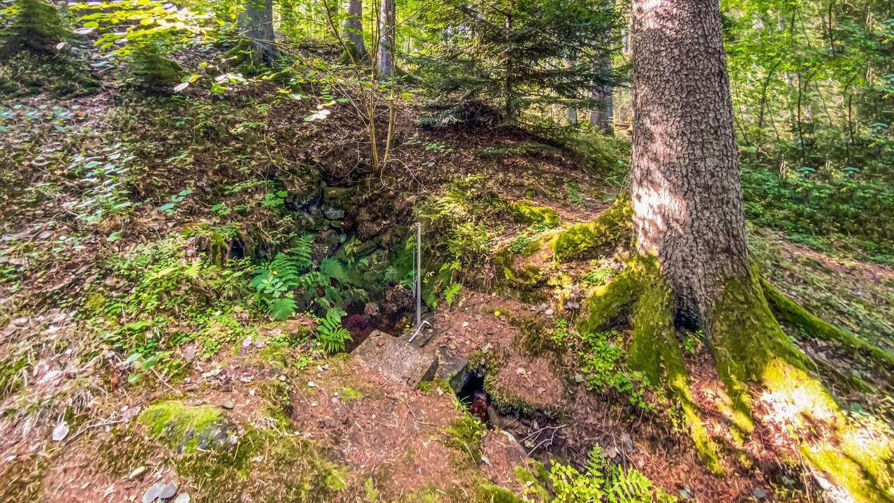 Photo of Others in Nybro