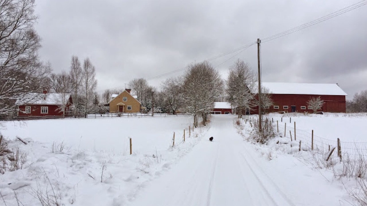 Photo of Outdoor in Berghemmet
