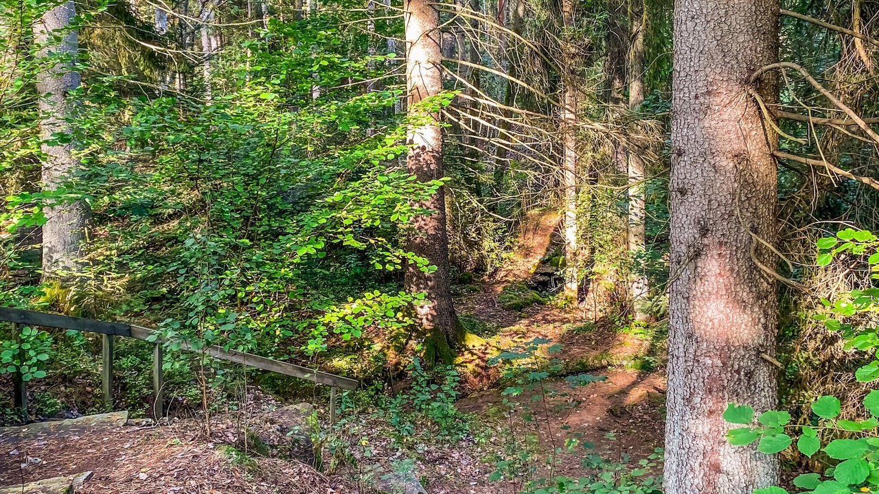Photo of Others in Nybro