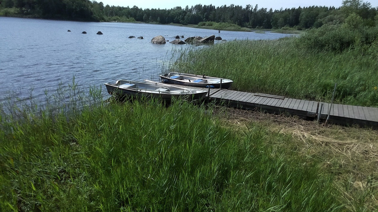 Photo of Others in Olofstrom