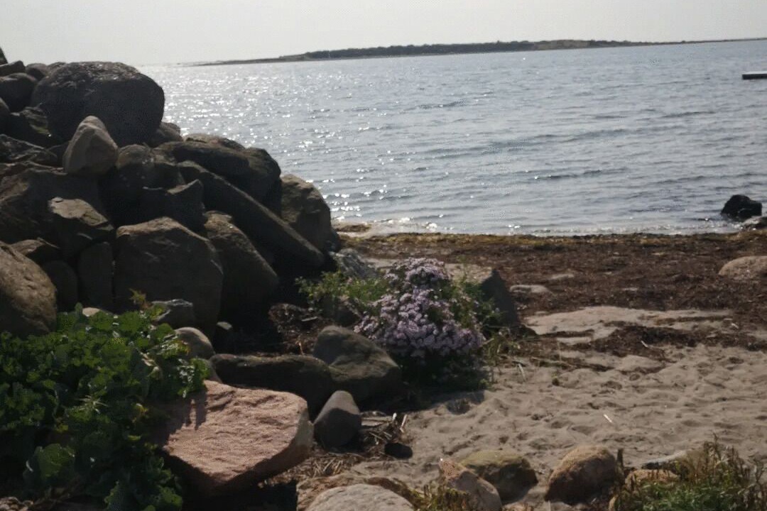 Photo of Others in Varberg Municipality