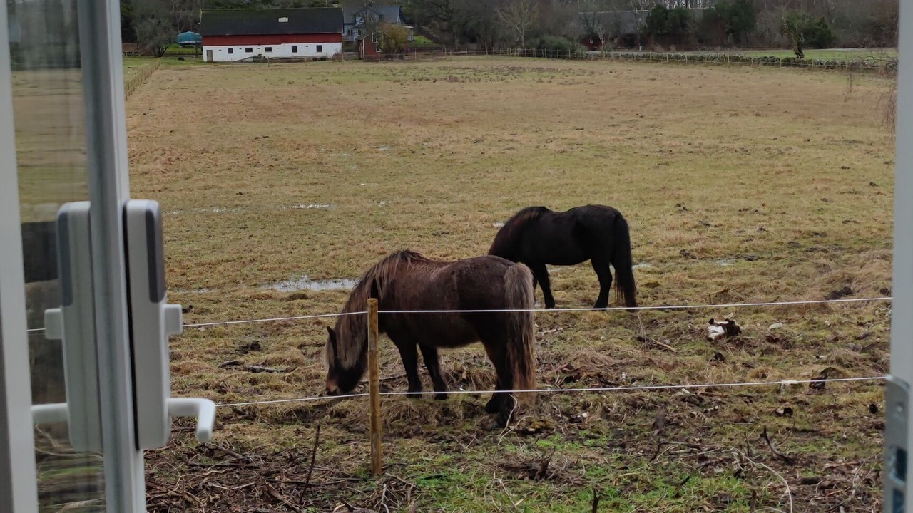Photo of Others in Varberg Municipality