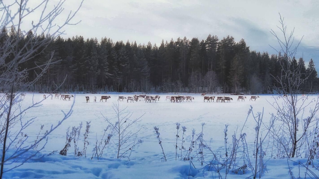 Photo of Others in Ramsele
