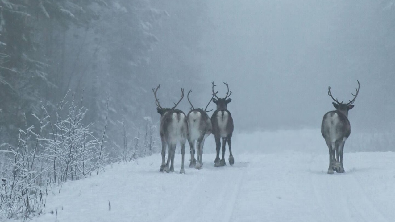 Photo of Others in Ramsele