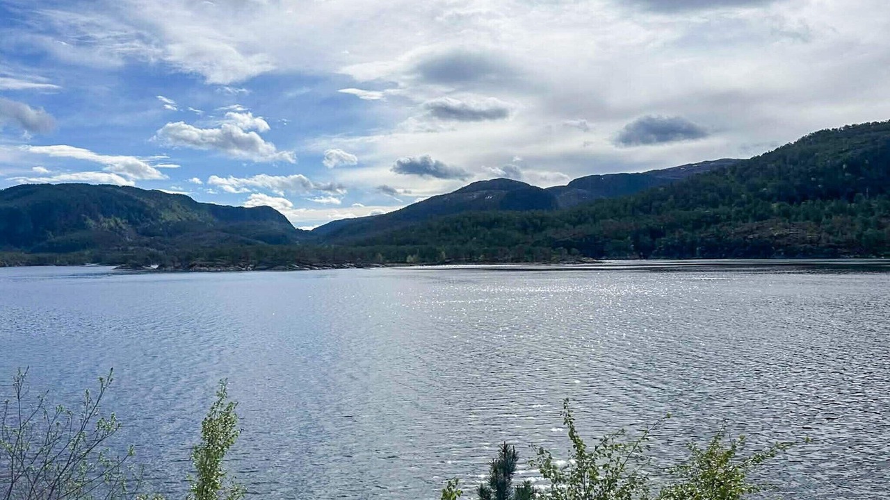 Photo of Others in Snillfjord