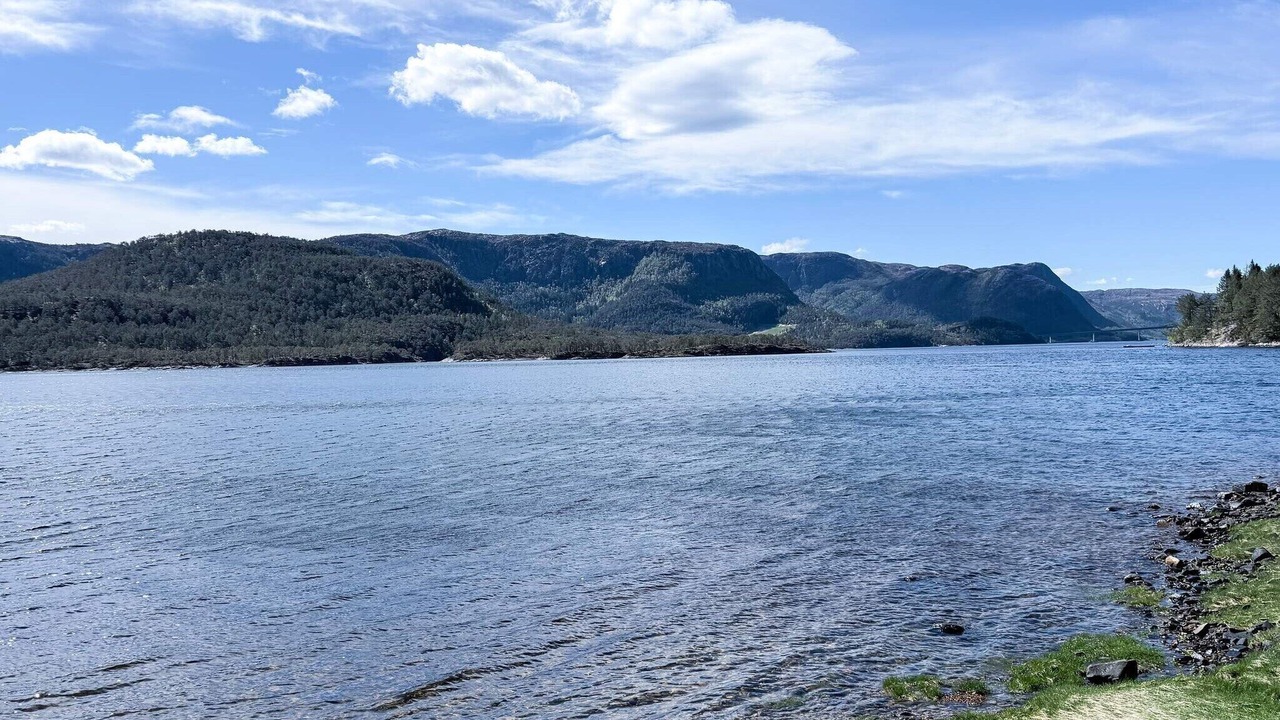 Photo of Others in Snillfjord