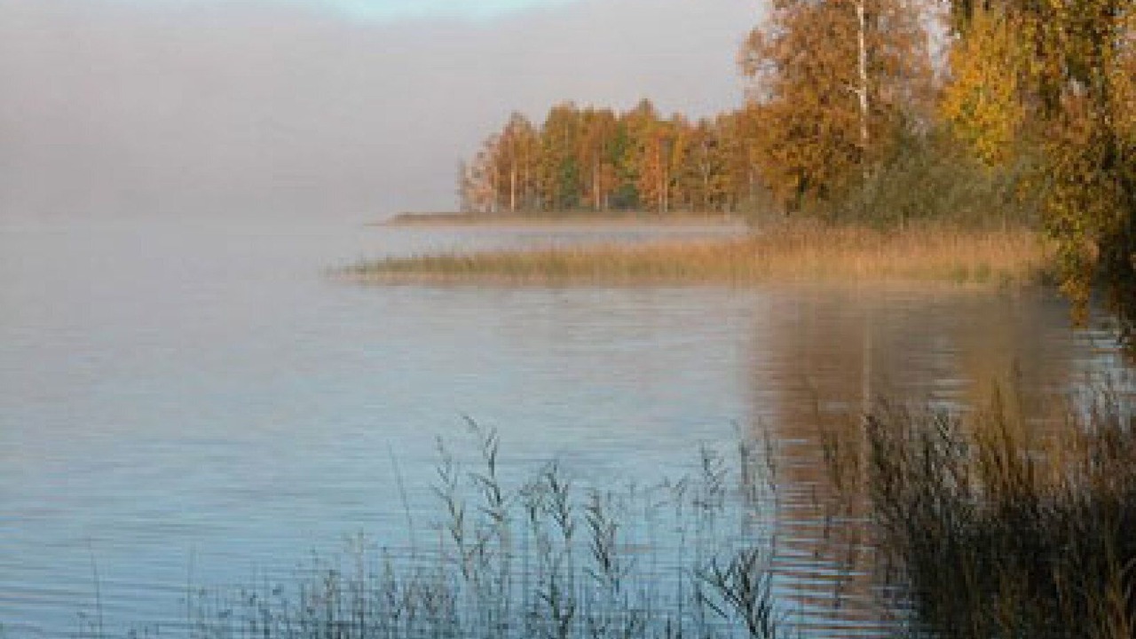 Photo of Others in Nordmark