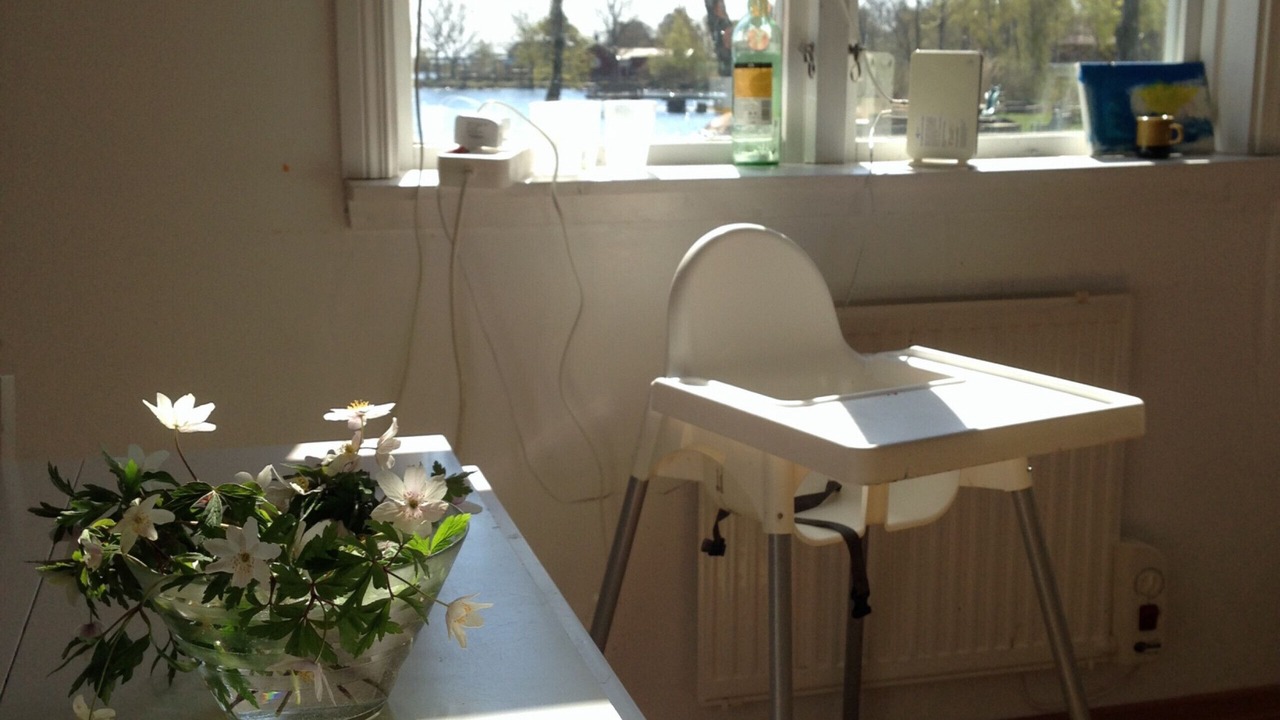 Photo of Livingroom in Soderakra