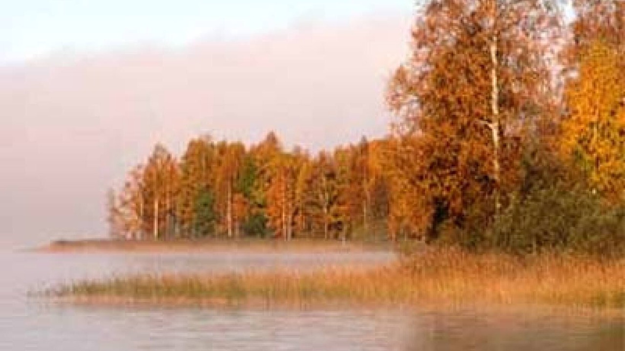 Photo of Others in Nordmark