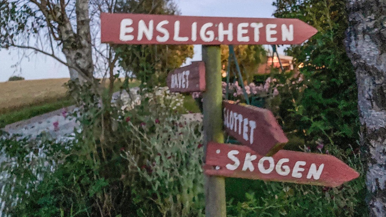 Photo of Others in Ystad