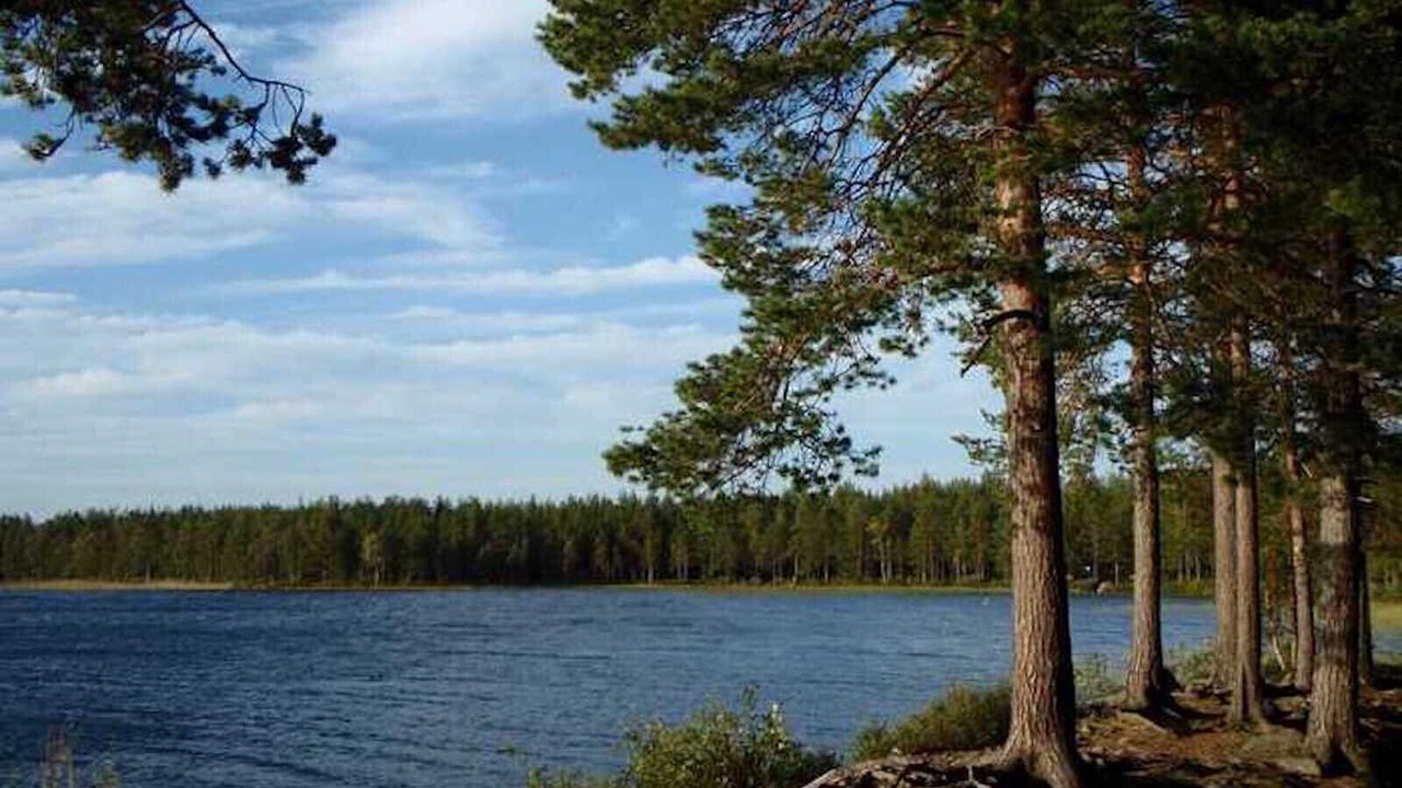 Photo of Others in Umea