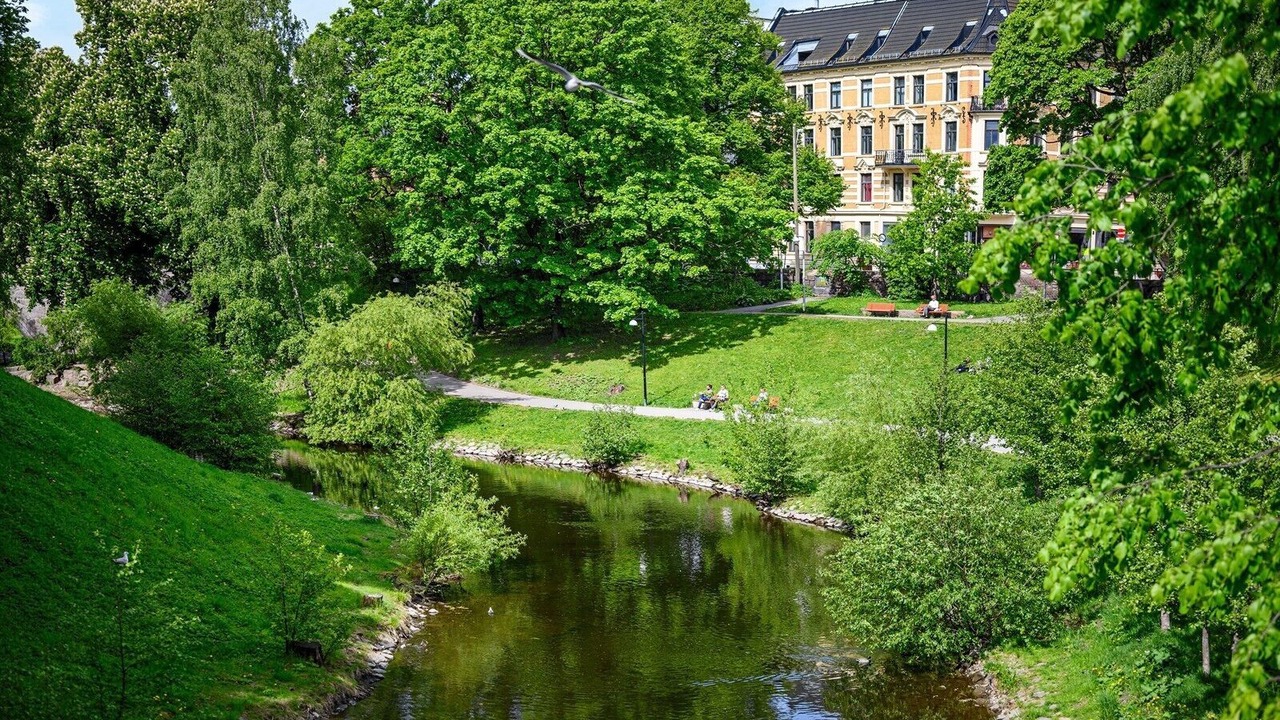 Photo of Outdoor in Gronland