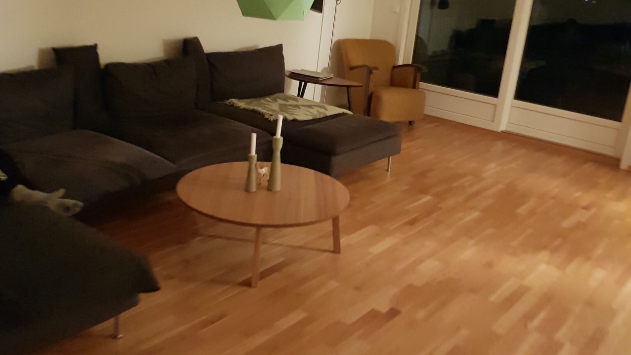 Photo of Livingroom in Skeikampen