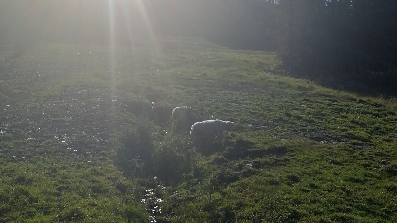 Photo of Others in Skeikampen