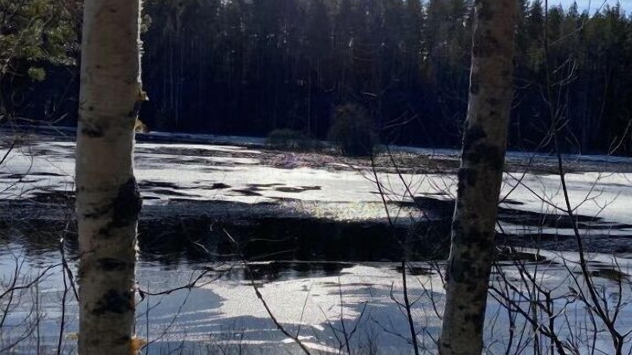 Photo of Others in Vimmerby