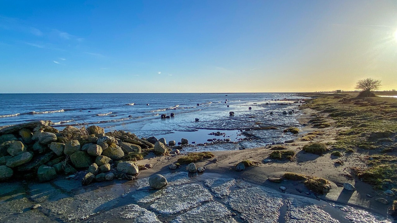 Photo of Others in Degerhamn