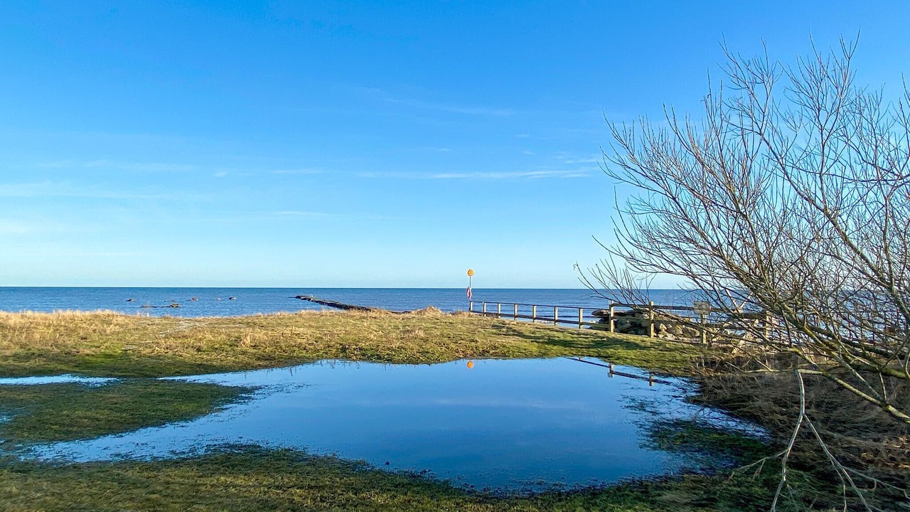 Photo of Others in Degerhamn