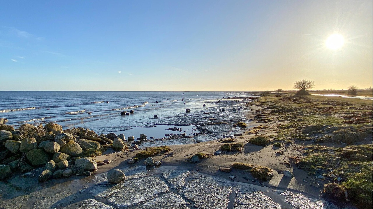 Photo of Others in Degerhamn
