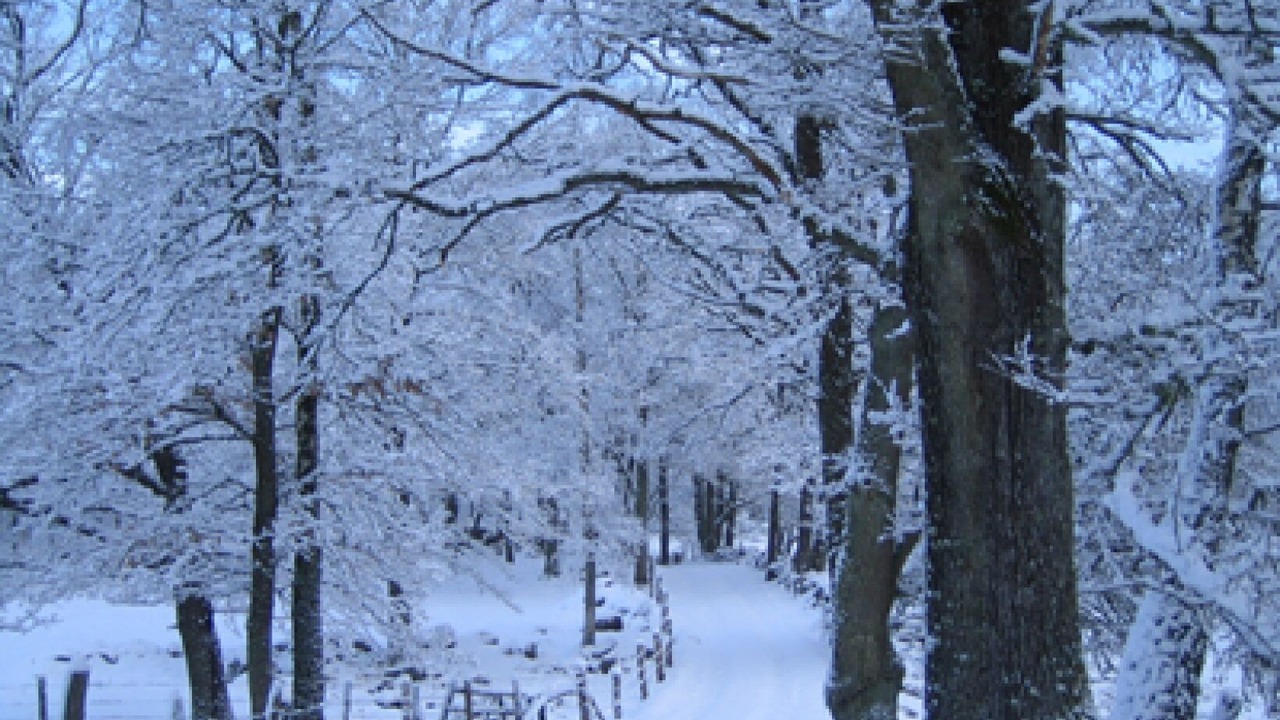 Photo of Others in Osby