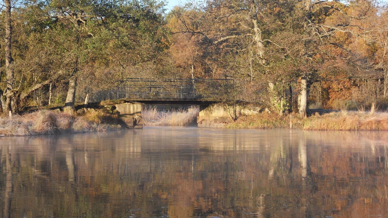 Photo of Others in Osby