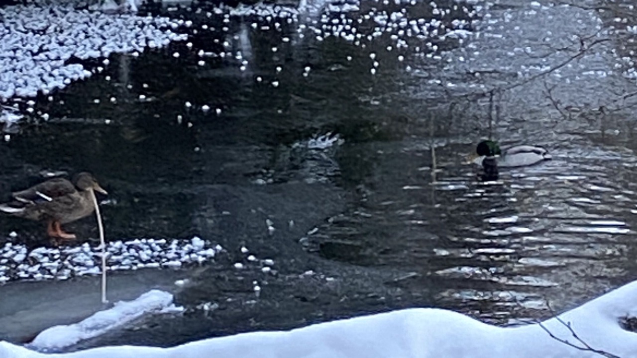 Photo of Others in Sodertalje Municipality