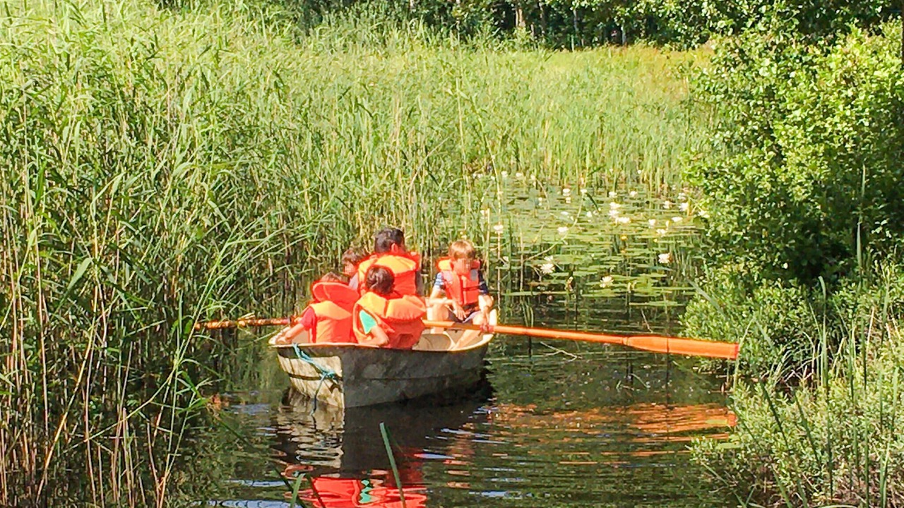 Photo of Others in Tingsryd Municipality