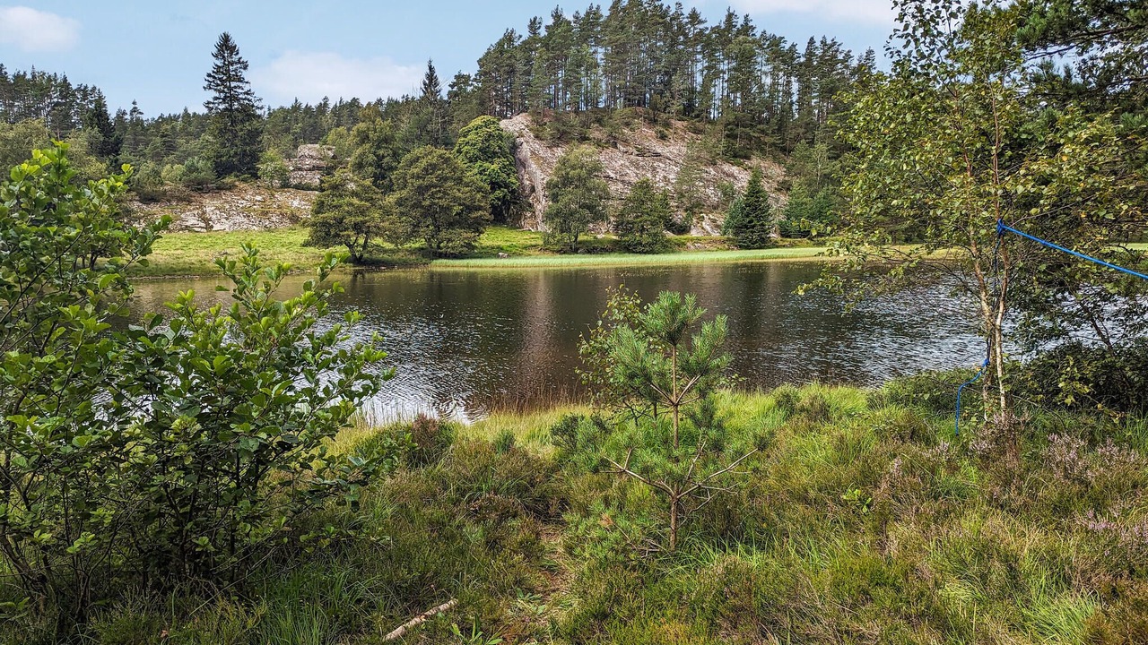 Photo of Others in Kvinesdal