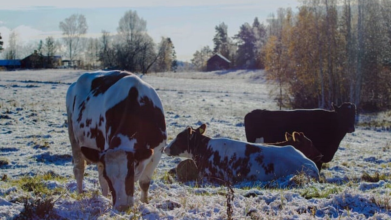 Photo of Outdoor in Falun