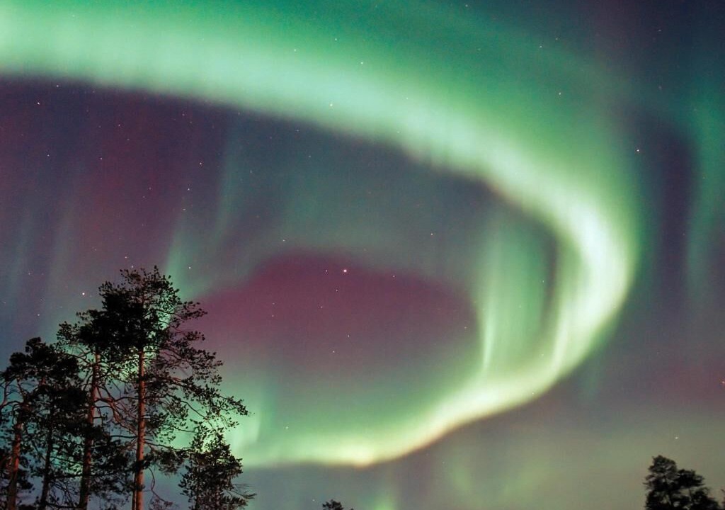 Photo of Others in Blattnicksele