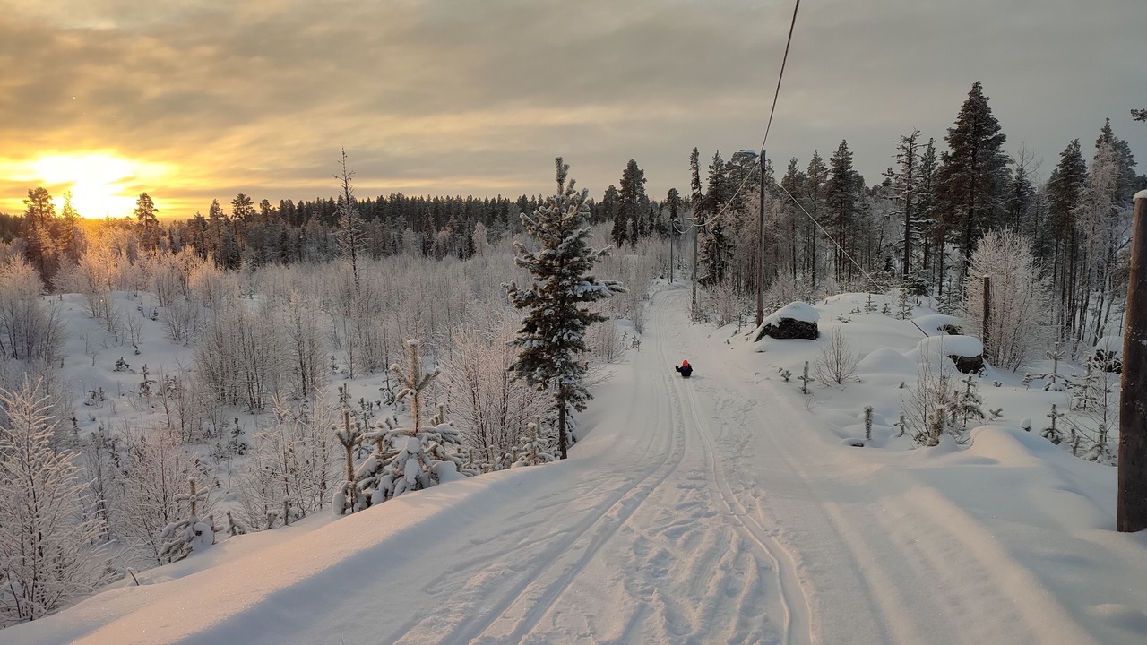 Photo of Others in Blattnicksele