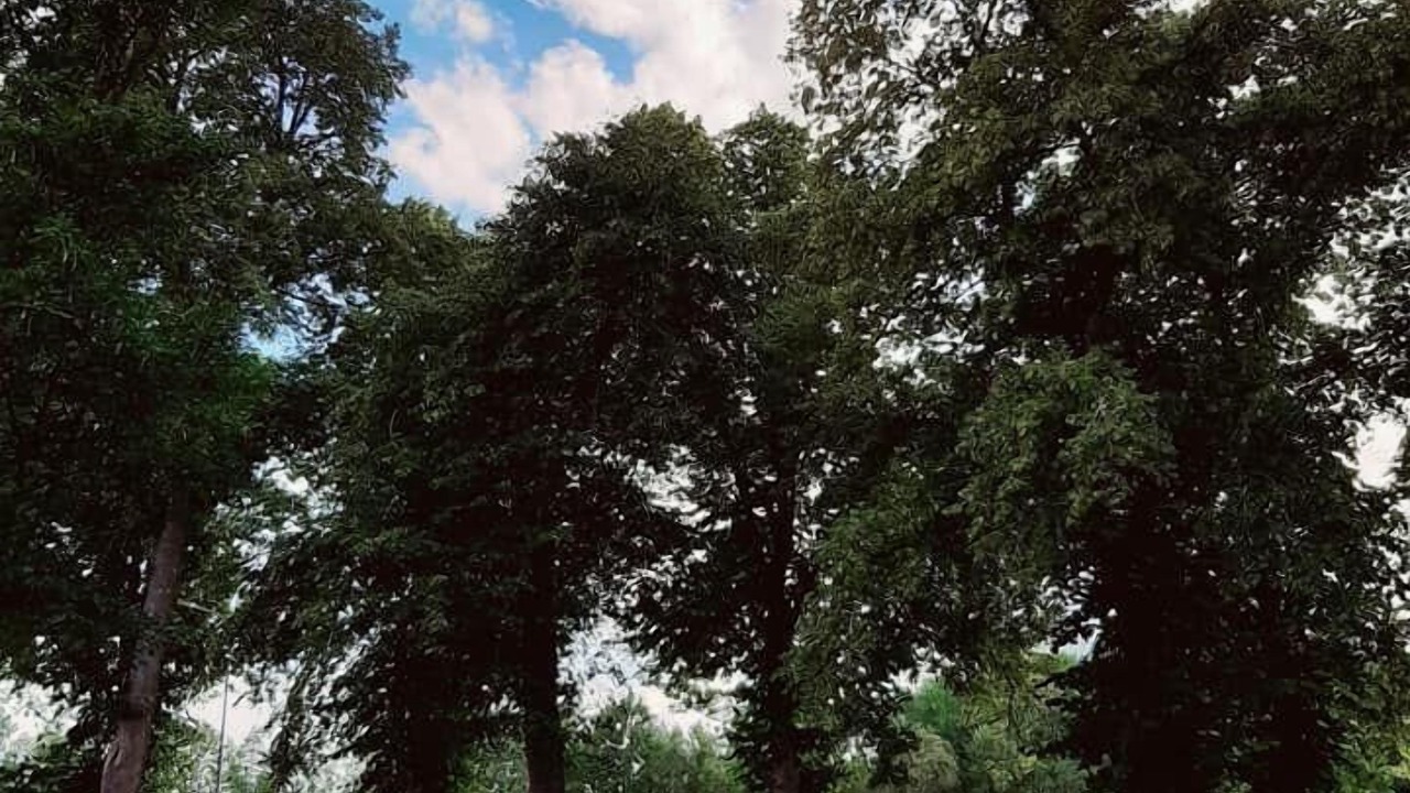 Photo of Outdoor in Mariannelund