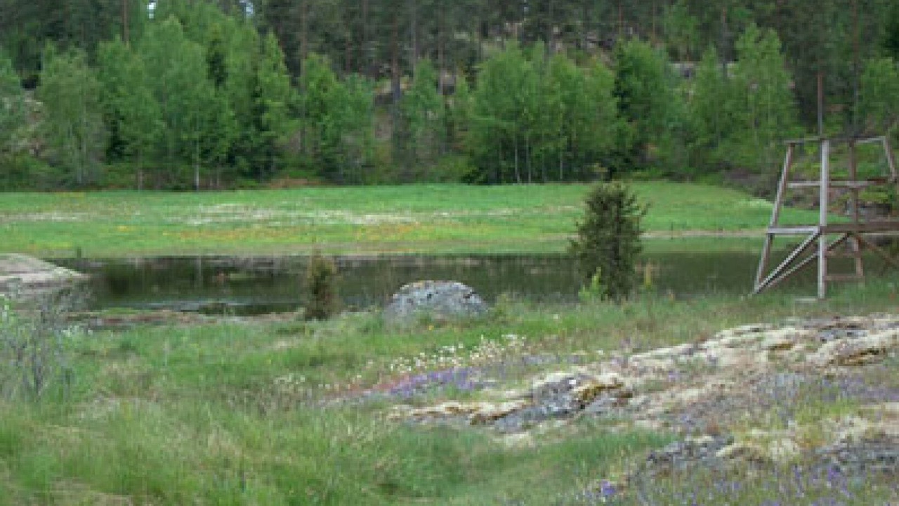 Photo of Others in Soderkoping Municipality