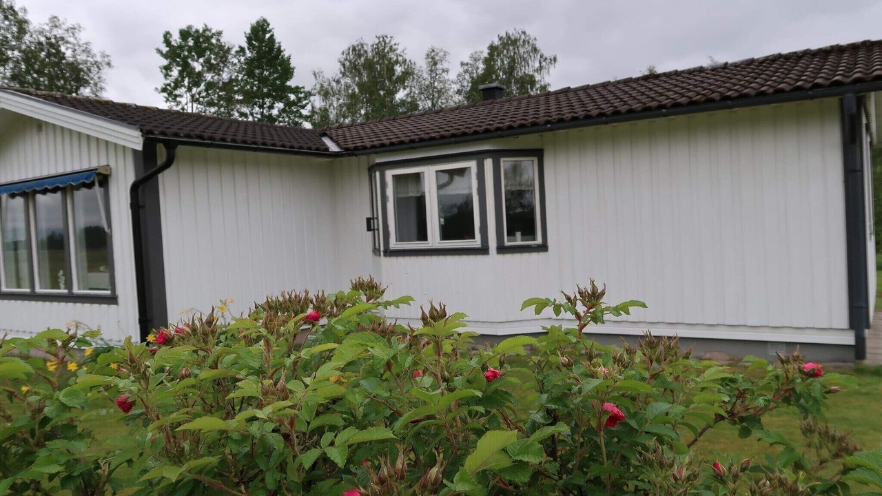 Photo of Outdoor in Sunne