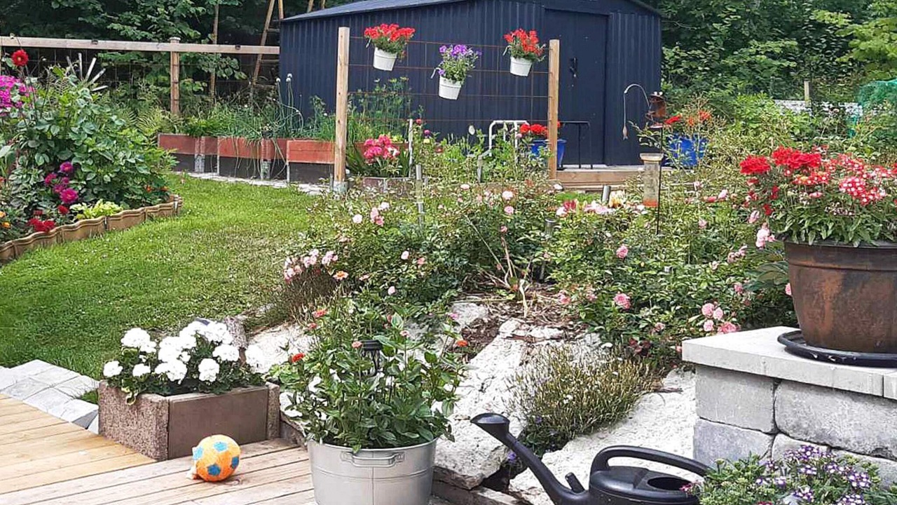 Photo of Outdoor in Hallekis