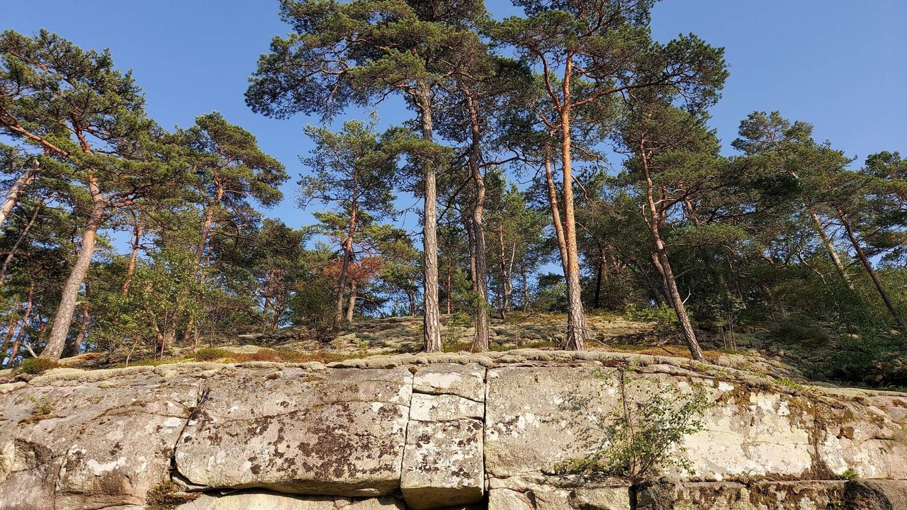 Photo of Others in Stabackehult