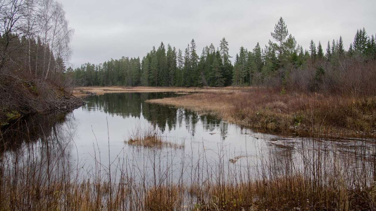 Photo of Outdoor in Grythyttan