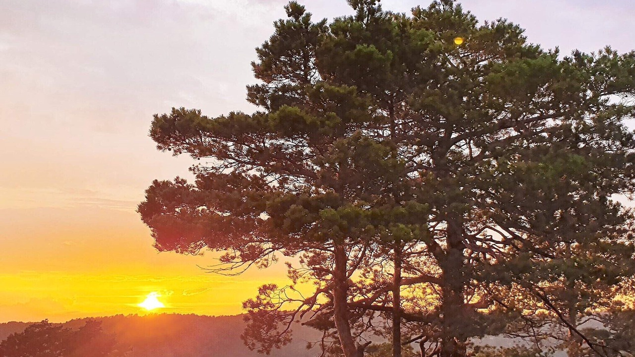 Photo of Outdoor in Risor