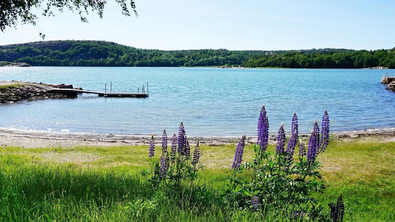 Photo of Others in Lysekil