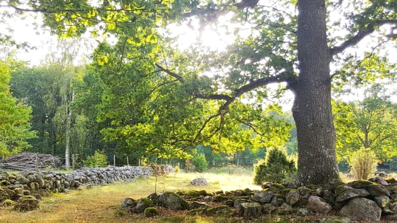 Photo of Others in Aneby