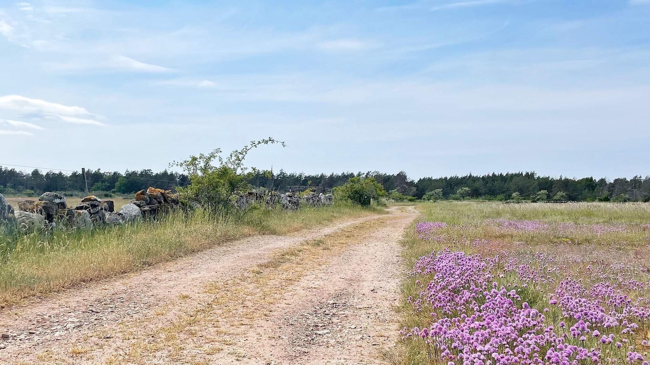 Photo of Outdoor in Hagaby