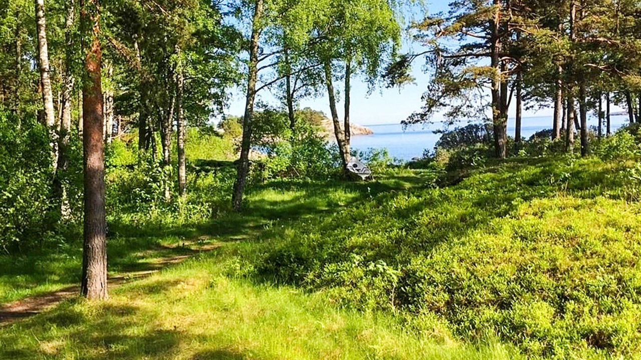 Photo of Outdoor in Grisslehamn
