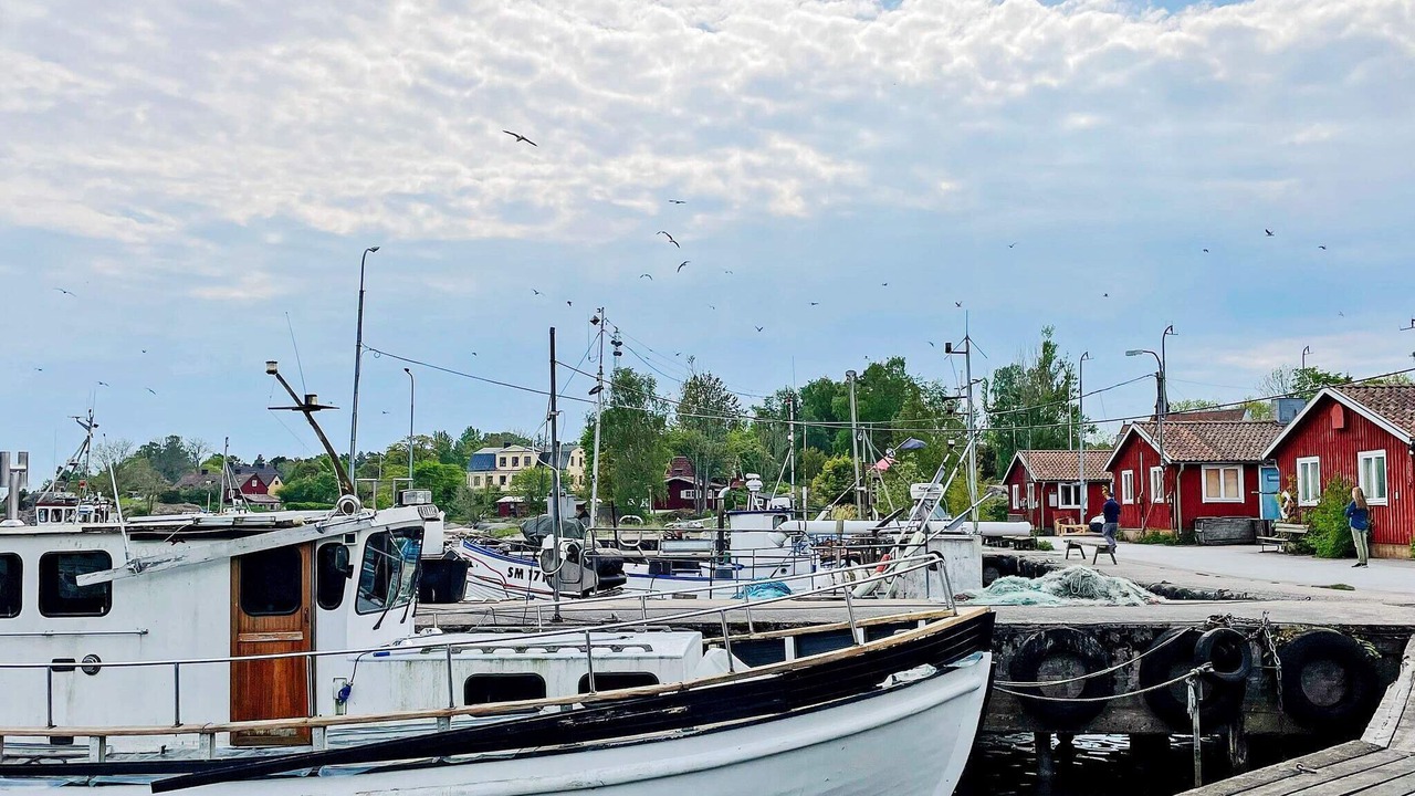 Photo of Others in Grisslehamn