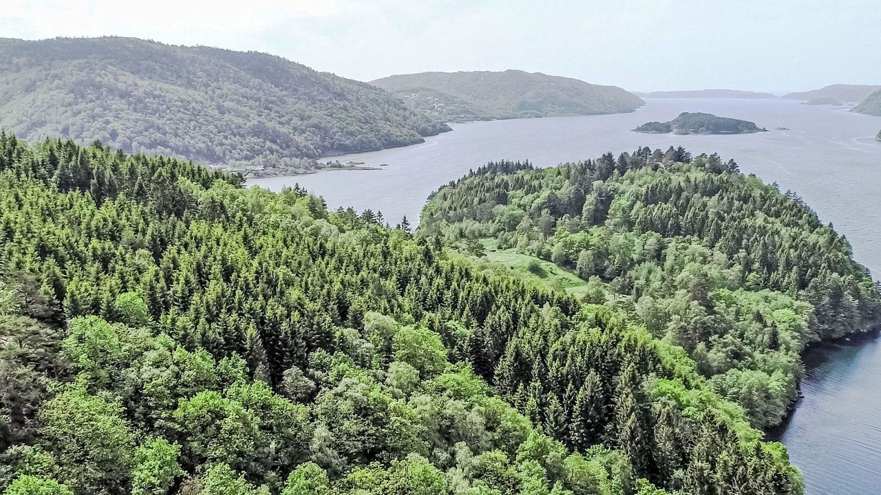 Photo of Others in Lyngdal