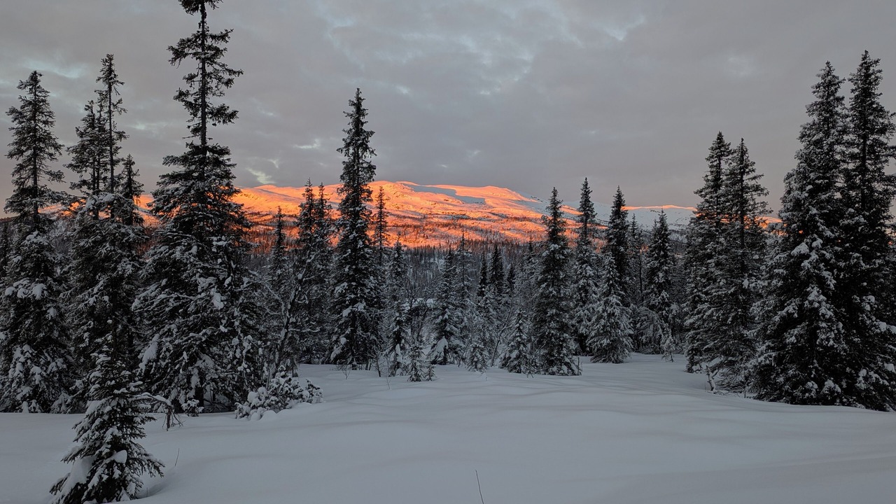 Photo of Bedroom in Nord-Torpa