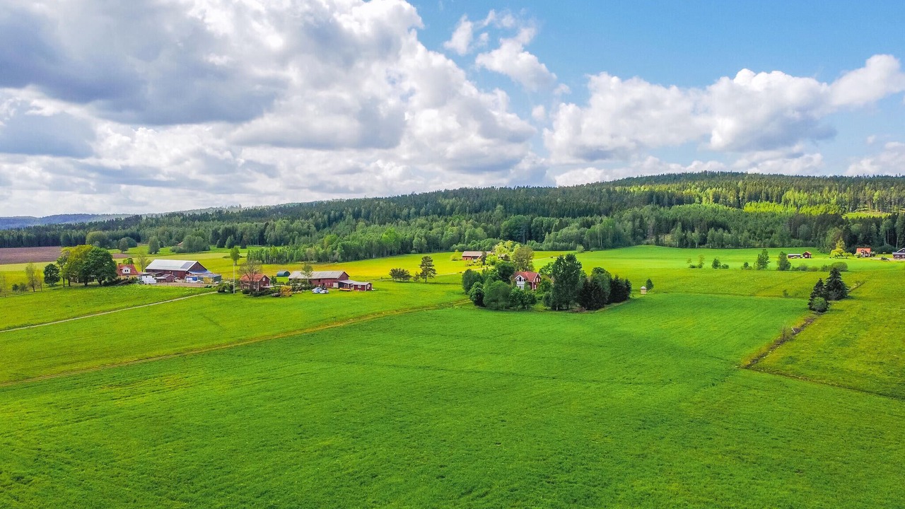 Photo of Others in Vastra Amtervik