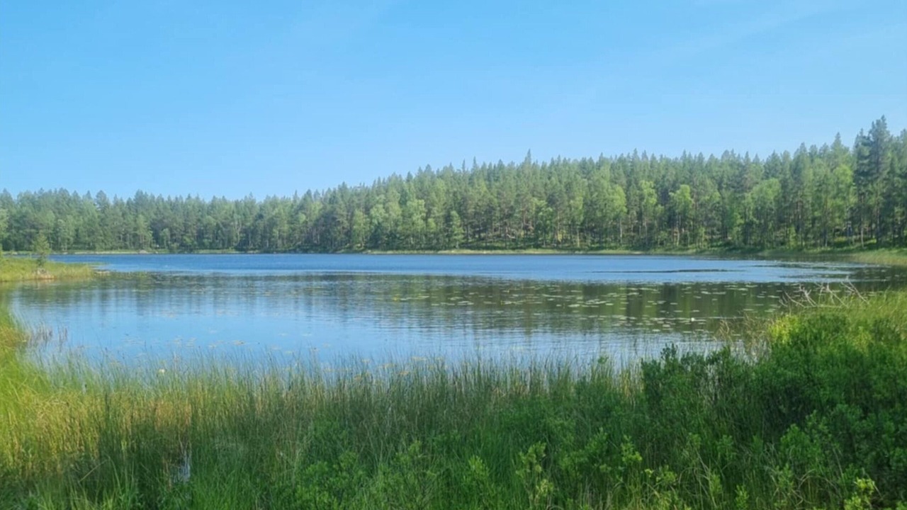 Photo of Others in Morlunda