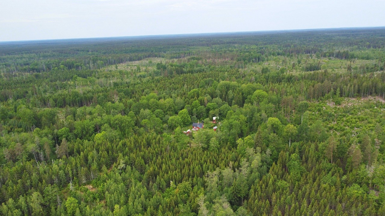 Photo of Outdoor in Morlunda